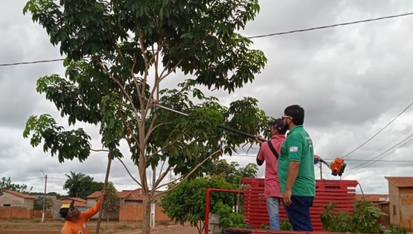 Prefeitura de Angico realiza serviços de poda de árvores no município com equipamentos novos 