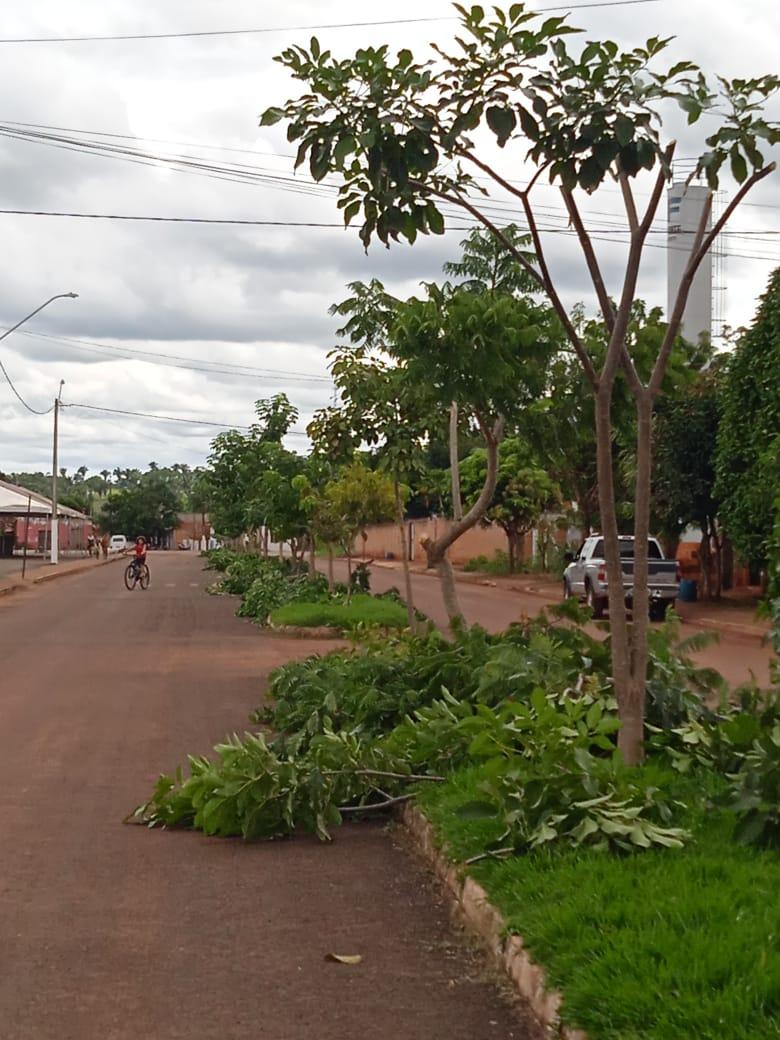 Prefeitura de Angico realiza serviços de poda de arvores no município com equipamentos novos 