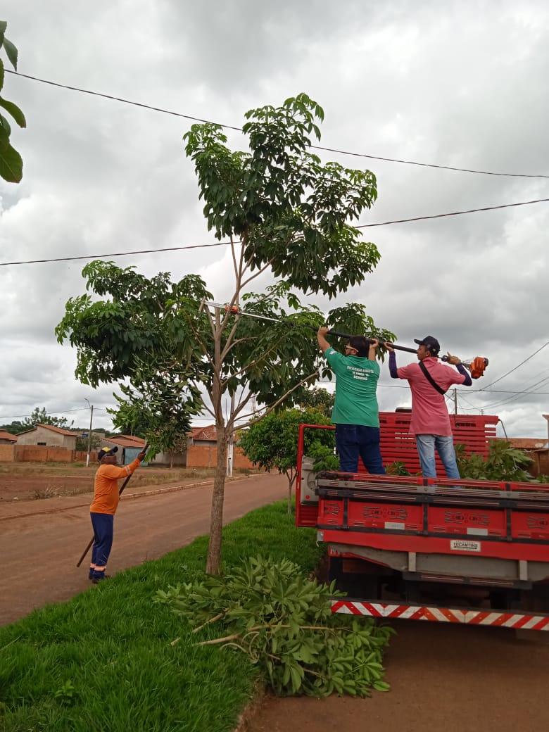 Prefeitura de Angico realiza serviços de poda de árvores no município com equipamentos novos 