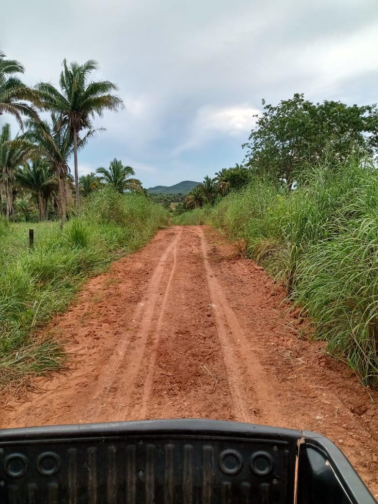 Prefeitura realiza manutenção e recuperação das estradas vicinais e intensifica serviços de roçagem e podas de arvores no Povoado Tamboril