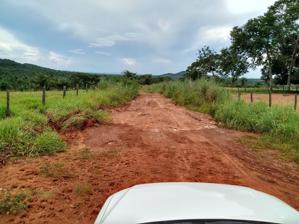 Prefeitura realiza manutenção e recuperação das estradas vicinais e intensifica serviços de roçagem e podas de arvores no Povoado Tamboril
