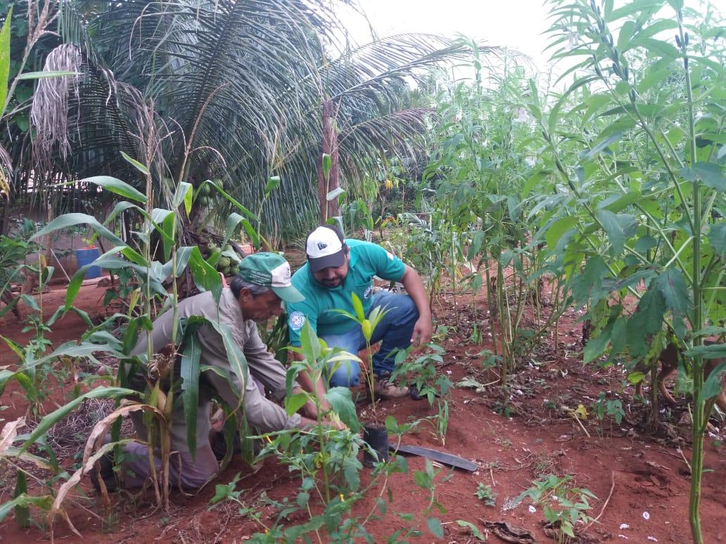 Em comemoração ao Dia Nacional de Conservação do Solo, Prefeitura de Angico promove ação ambiental no Ribeirão Mato Redondo