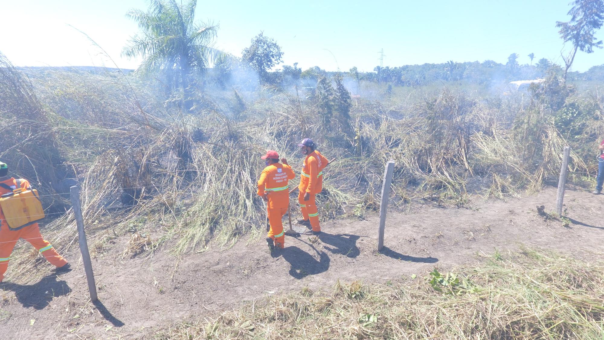 Brigadistas de Angico finalizam capacitação e treinamento em Ananás