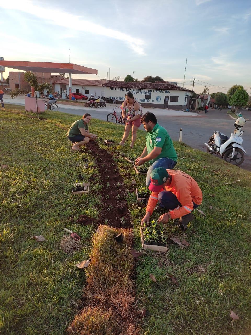 Prefeitura investe em paisagismo urbano para garantir qualidade de vida dos moradores de Angico
