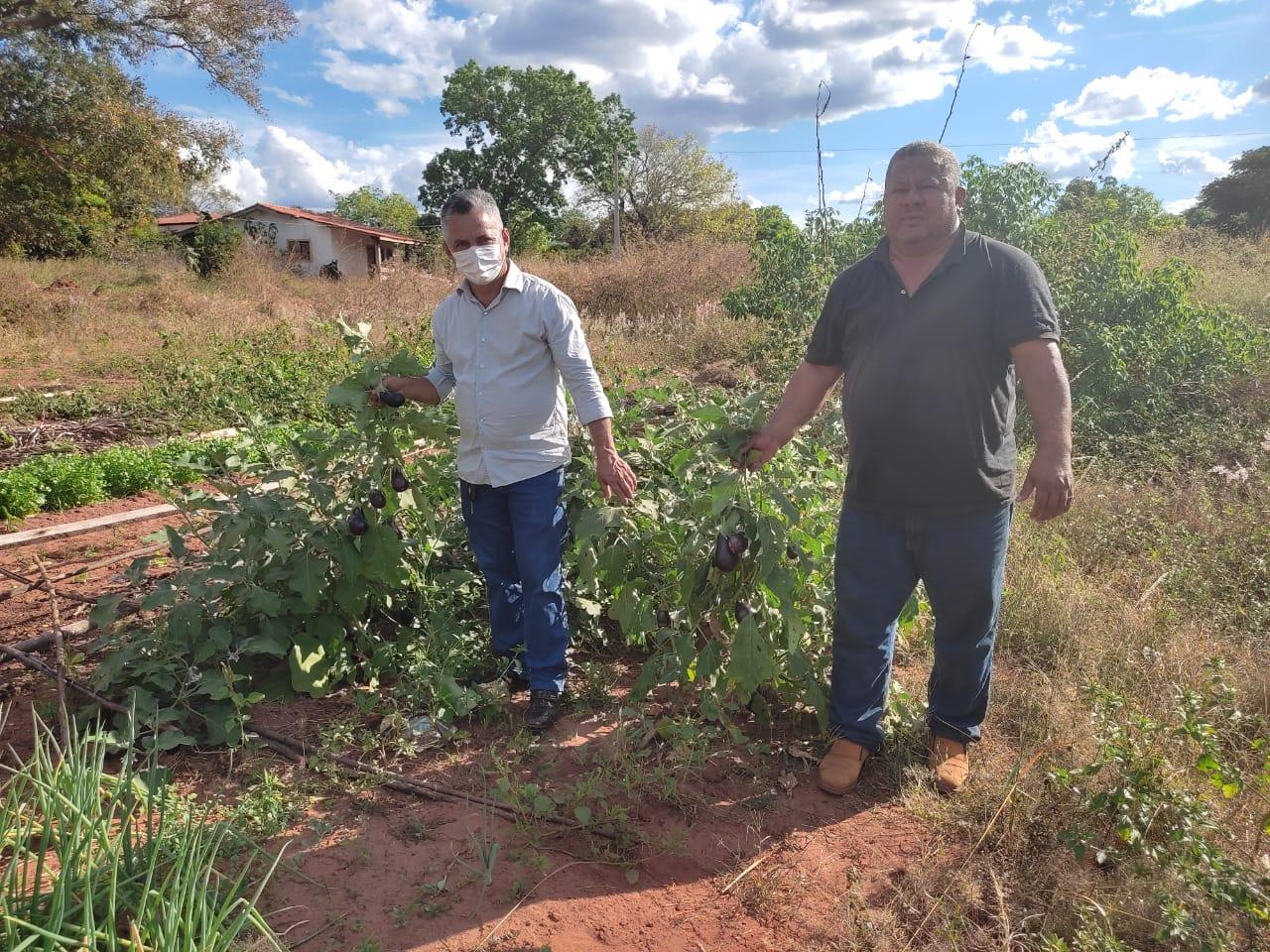 Prefeitura entrega 20 toneladas de adubo do tipo cama de frango para os pequenos produtores de Angico  