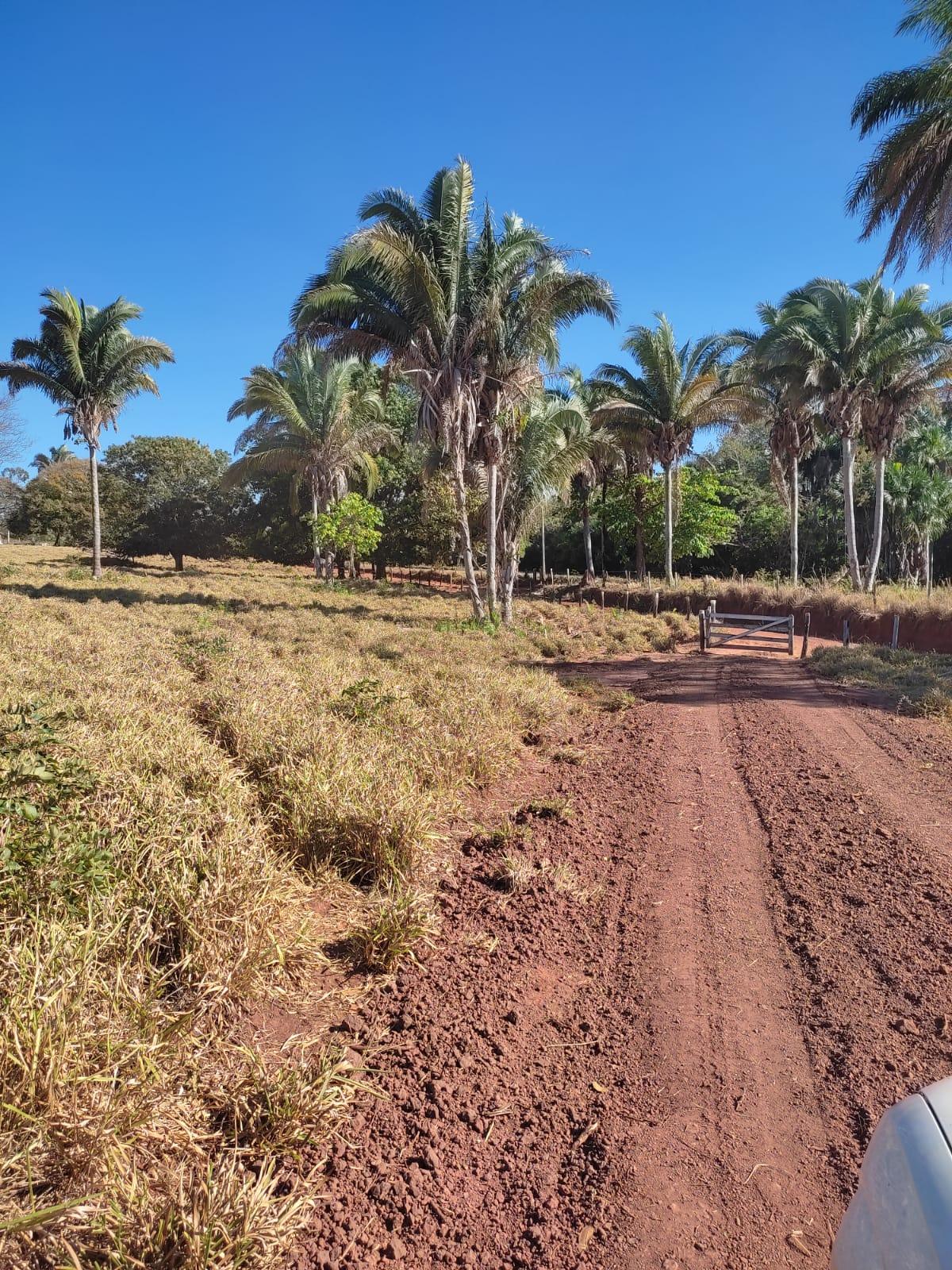 Estrada vicinal que liga Buritizinho a chácara do Sr. Edmundo Sanches e Sra. Betinha passa por melhorias