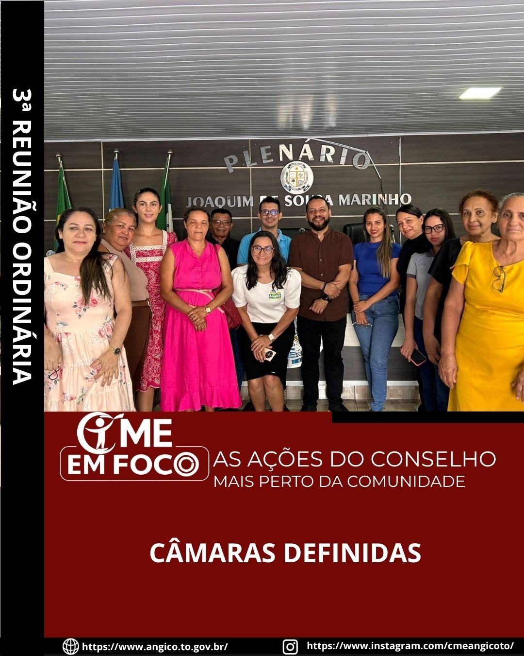 Câmaras Temáticas definidas